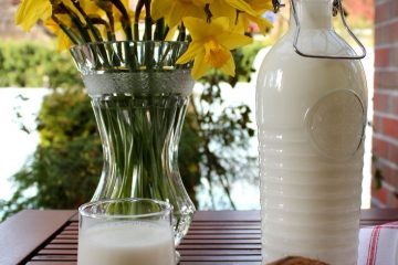 An image of Homemade Coconut Milk in a glass and in a bottle. There is a coconut on a white and red tea towel and yellow daffodils in a vase next to them.