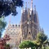 What to Do in Barcelona When You Have Seen It All? - An image of Sagrada Familia cathedral. There are some bushes and tree visiable on the photo too.